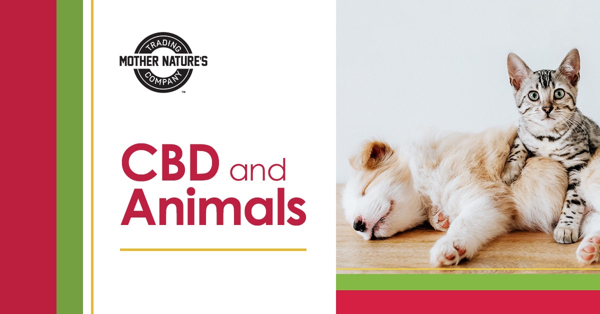 CBD and Animals - Mother Nature Trading Company