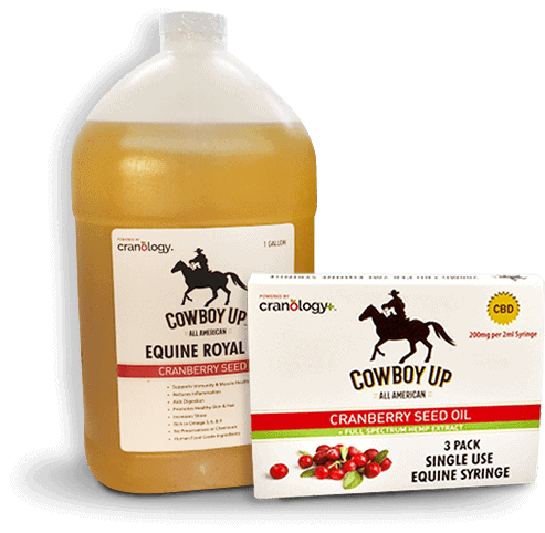 Cowboy Up - Equine Royal Oil